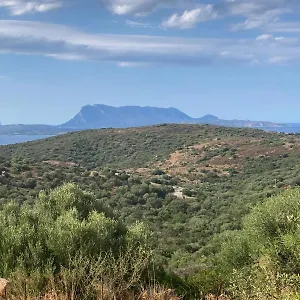 Casa vacanze Agrustos Paradise, Budoni